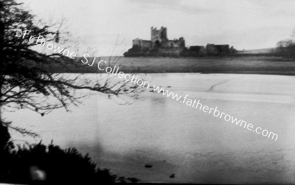 DUNBRODY ABBEY FROM S.